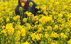 逍遥龙团队视频在线观看